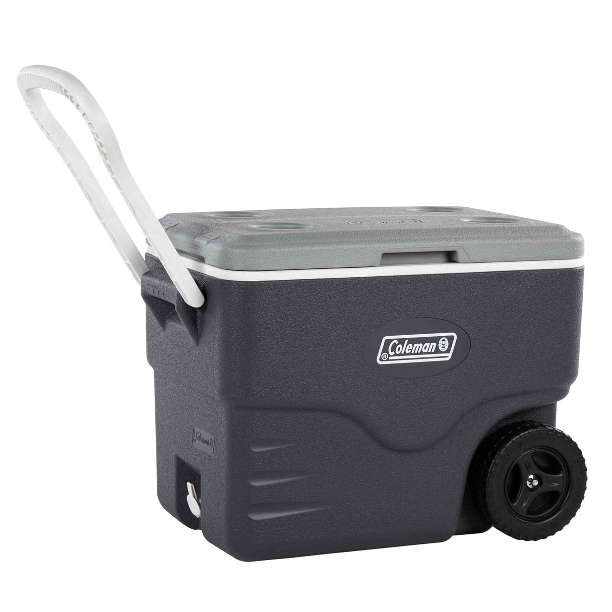 38L Wheeled Daintree Cooler