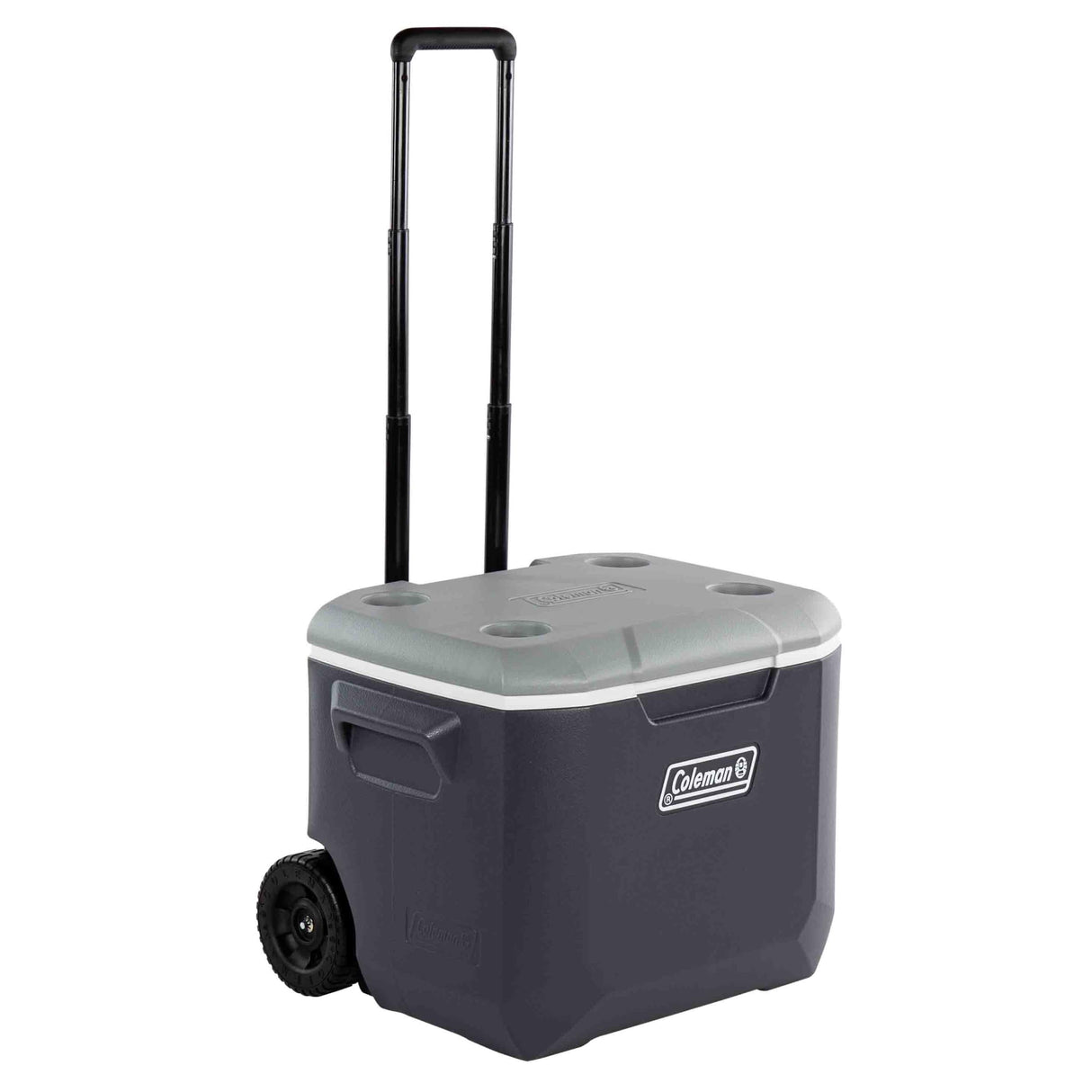 57L Wheeled Daintree Hard Cooler