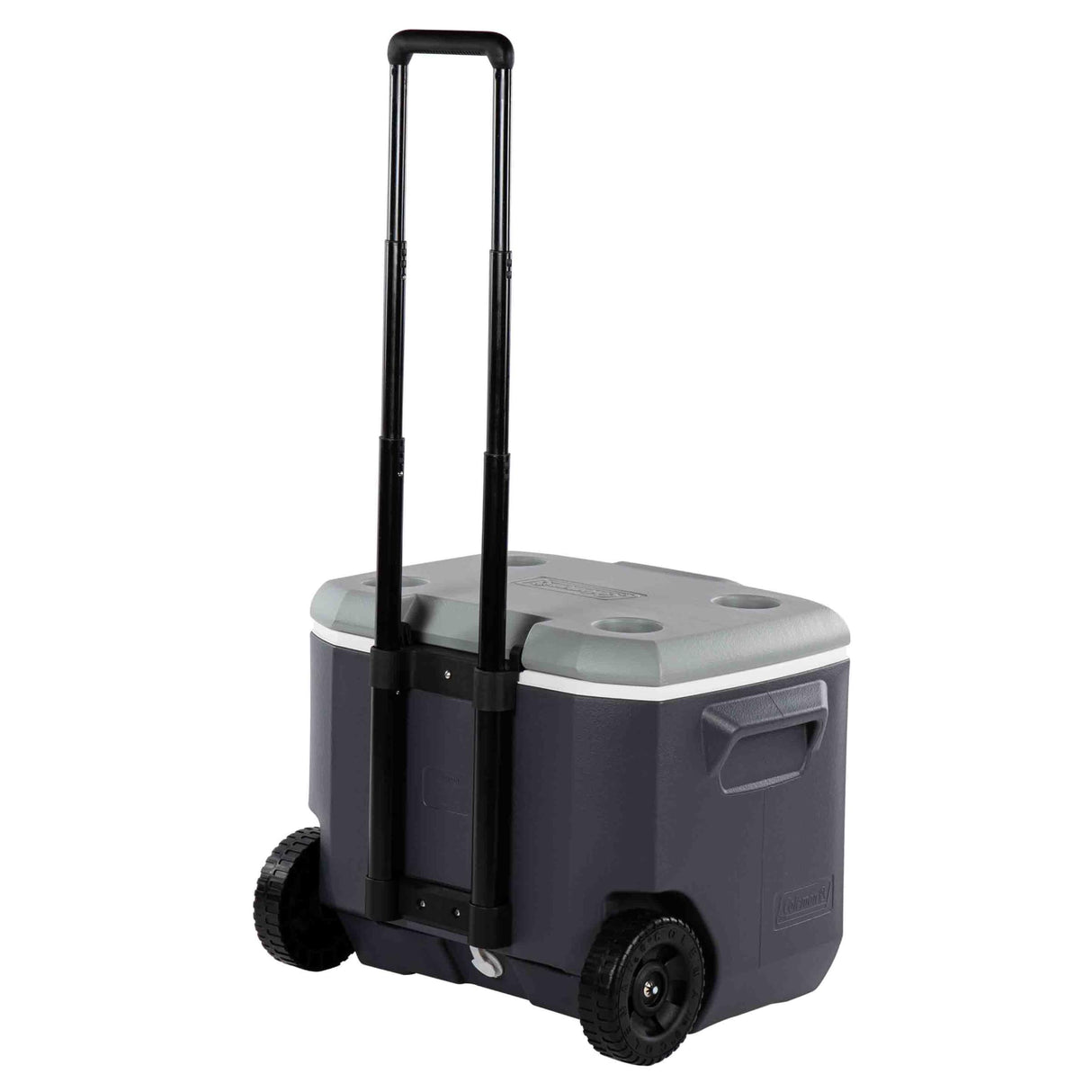 57L Wheeled Daintree Hard Cooler