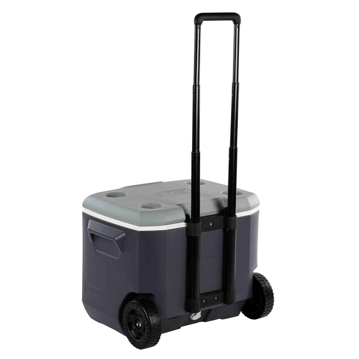 57L Wheeled Daintree Hard Cooler