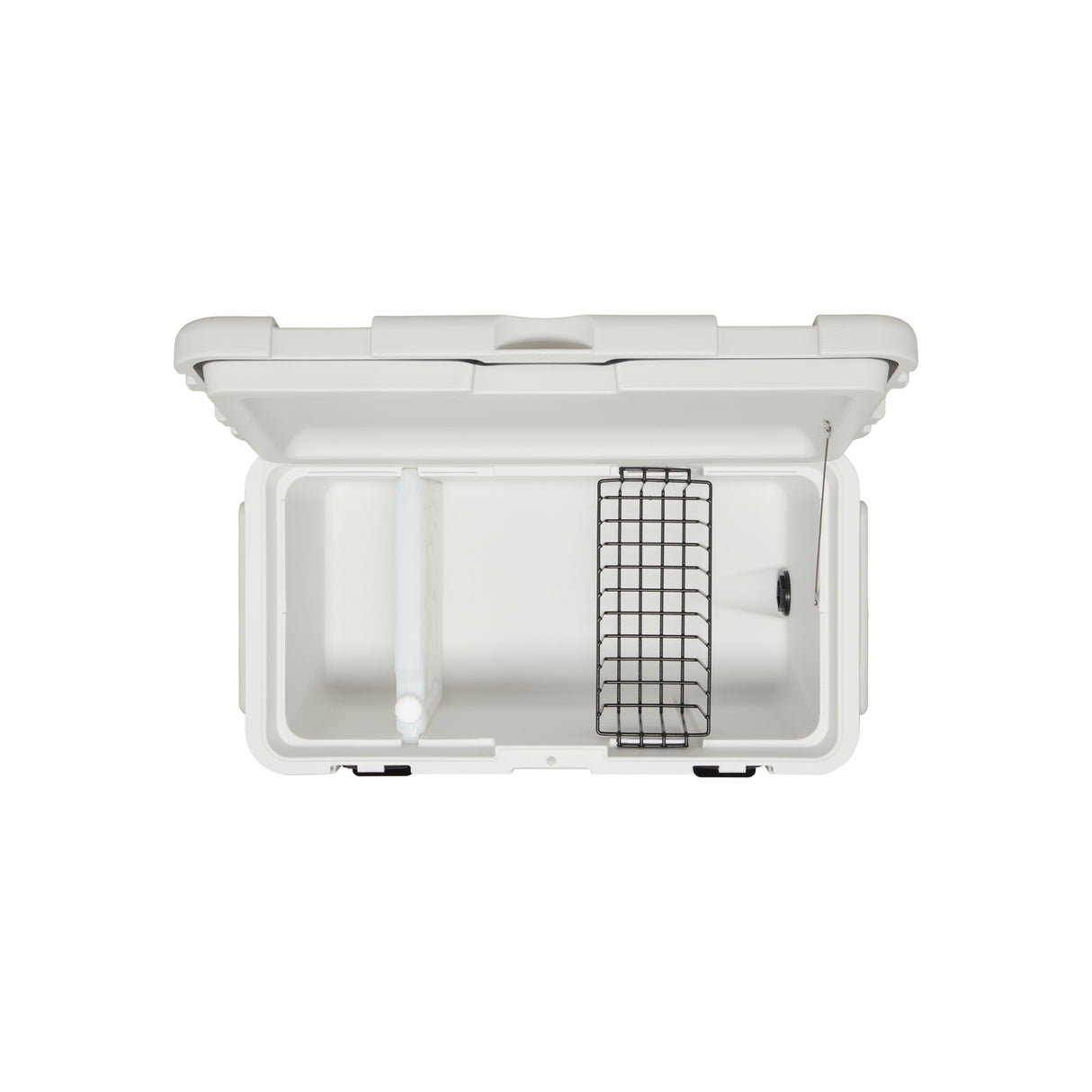 COLEMAN 70L Glacier Ice Box WHITE - Image 5
