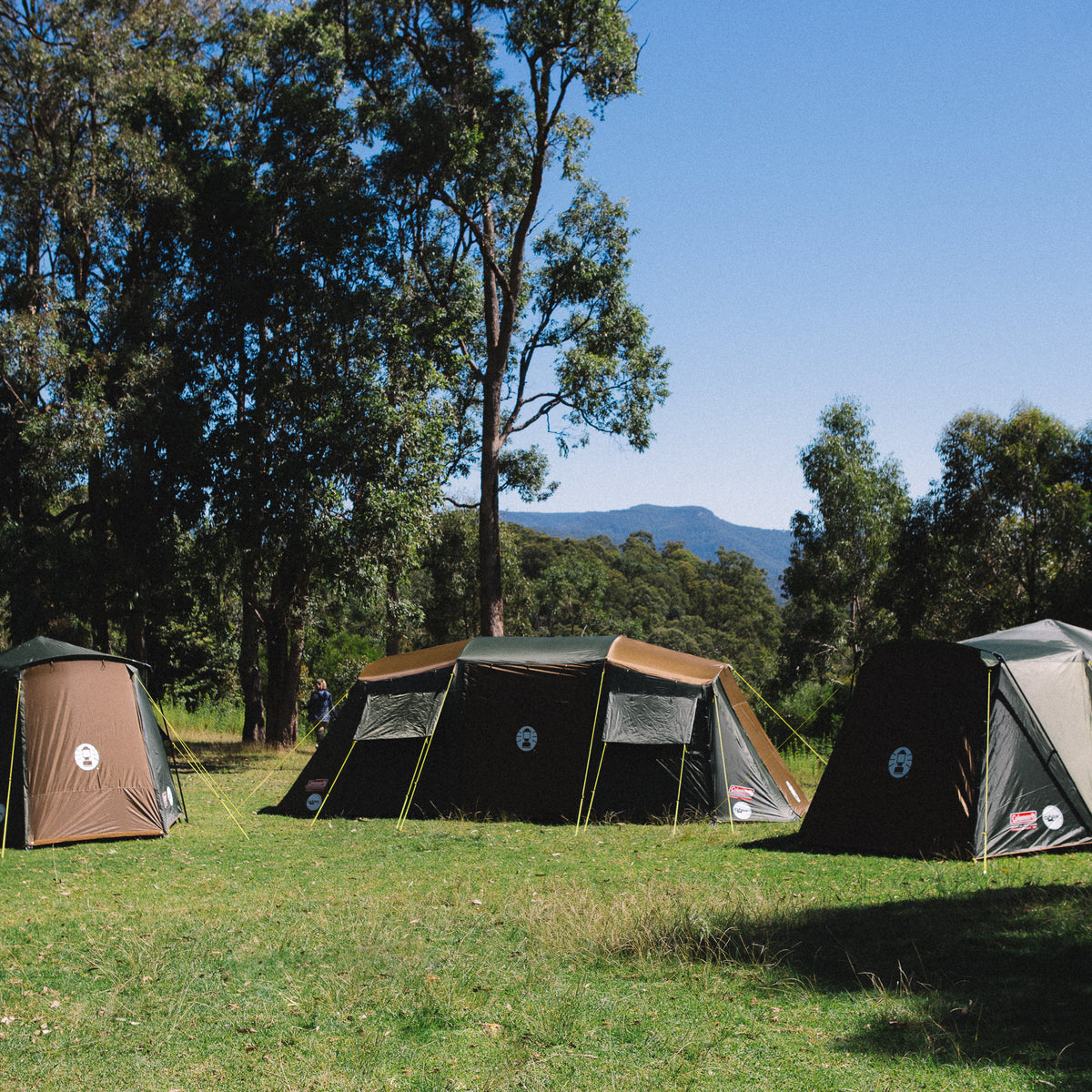 Coleman NZ Gold Series Tents BuiltIn LED Lighting