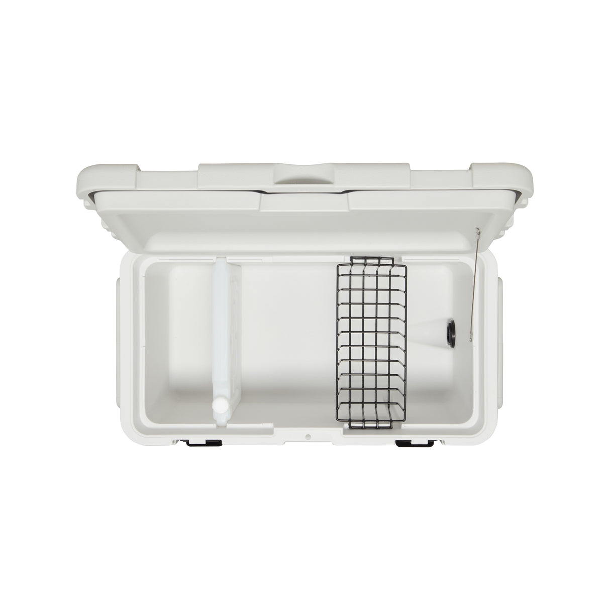 COLEMAN Glacier Ice Box 50L WHITE - Image 5