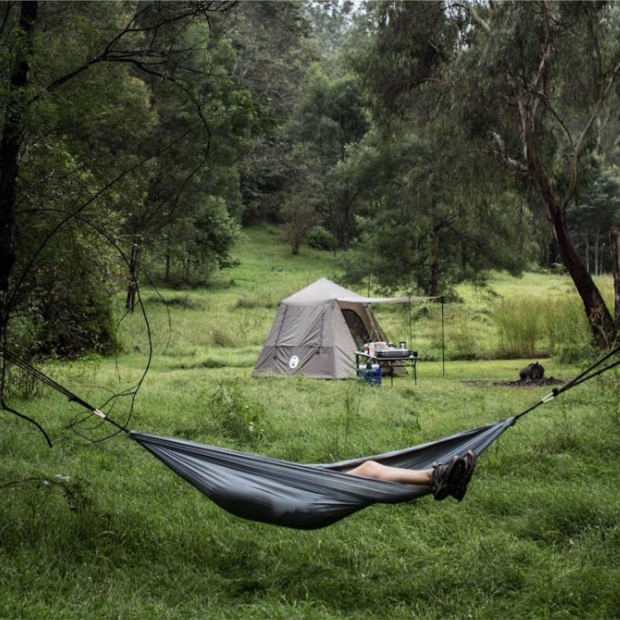 Lightweight Hammock